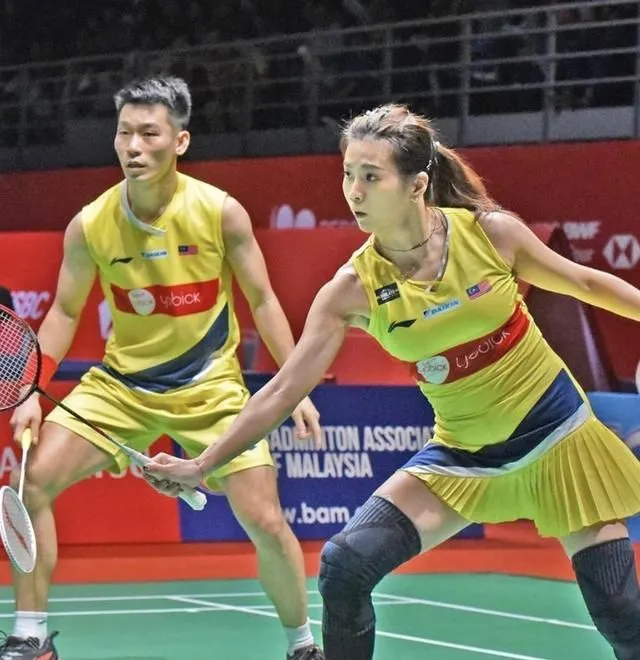 德国队横扫丹麦队，马琳惊艳四座的简单介绍