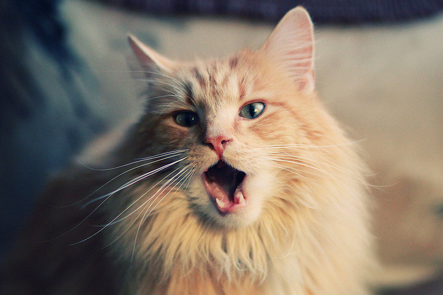 王哲林独舞，碾压夜中，他让齐鲁大地听见篮球心跳