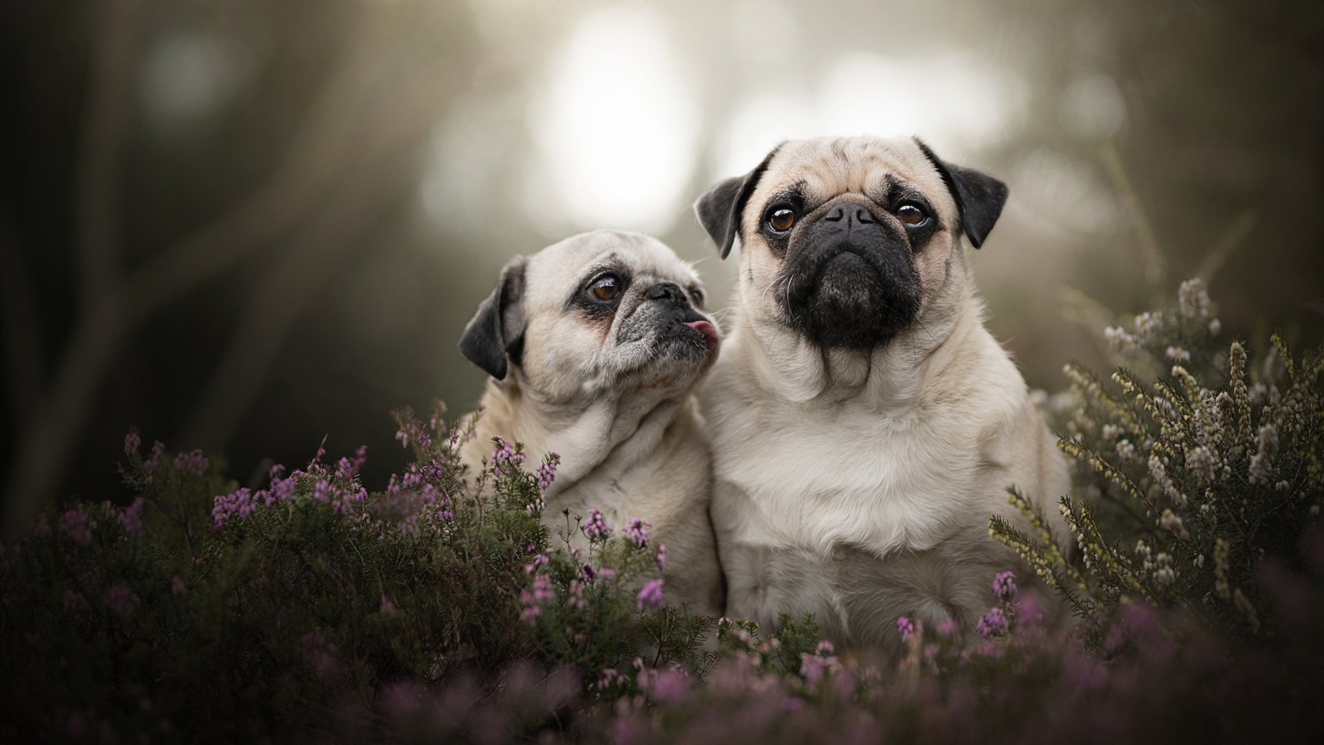 拉文的奇迹三分钟，从深渊边缘到翻盘之王的最后180秒