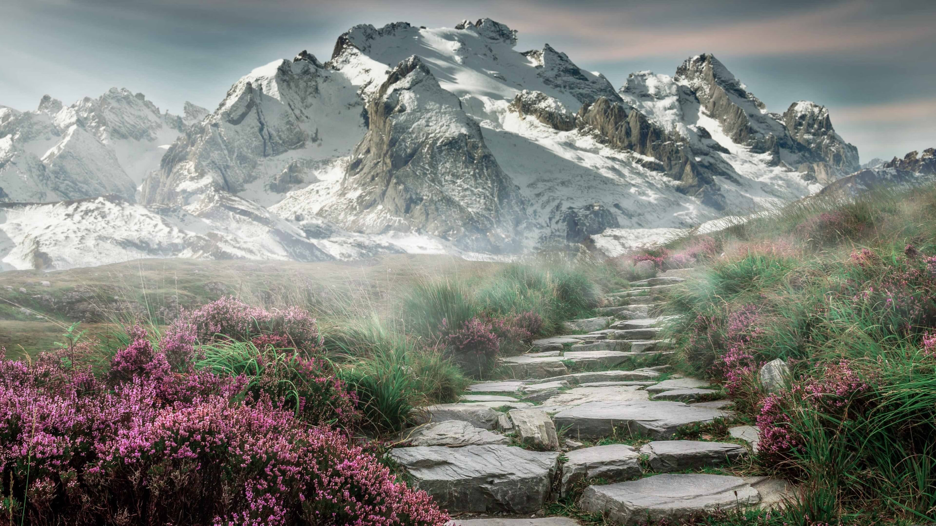 看到你给出的关键词组合时，一个奇妙的画面已经形成—它精准地捕捉到了两项不同运动中，同一种大心脏决胜时刻的独特魅力