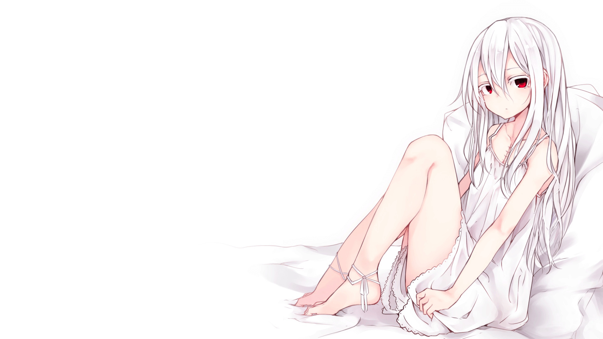 绿与红的交响，当波士顿凯尔特人遇见辽宁飞豹