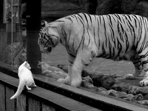 勒布朗·詹姆斯的幽灵对位，当太阳照亮标靶中心，谁在防守那个不在场的人？