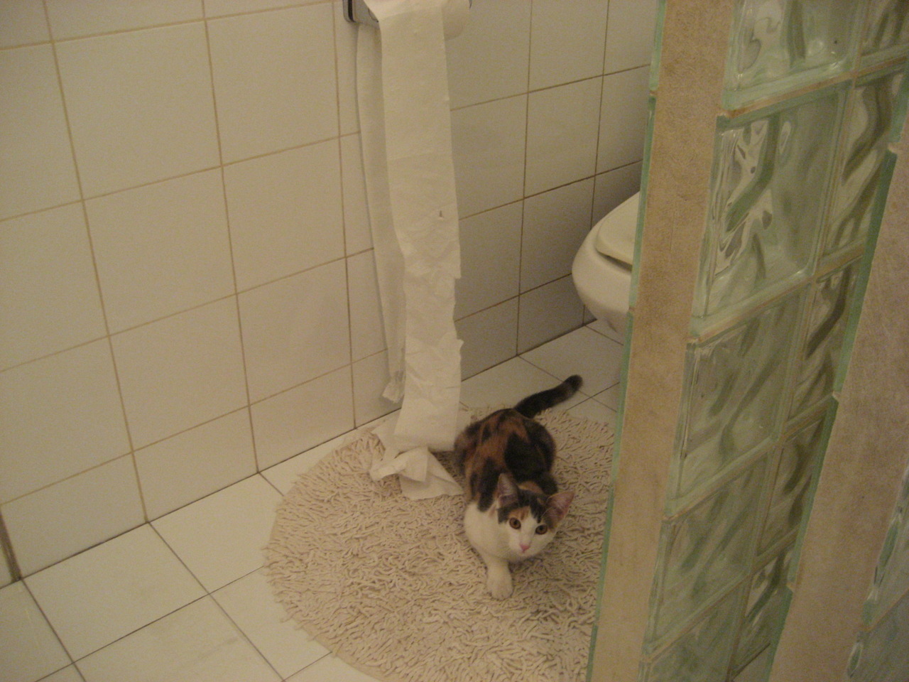 平行时空的足球启示,久保建英的优雅爆发与洪都拉斯的血色尊严