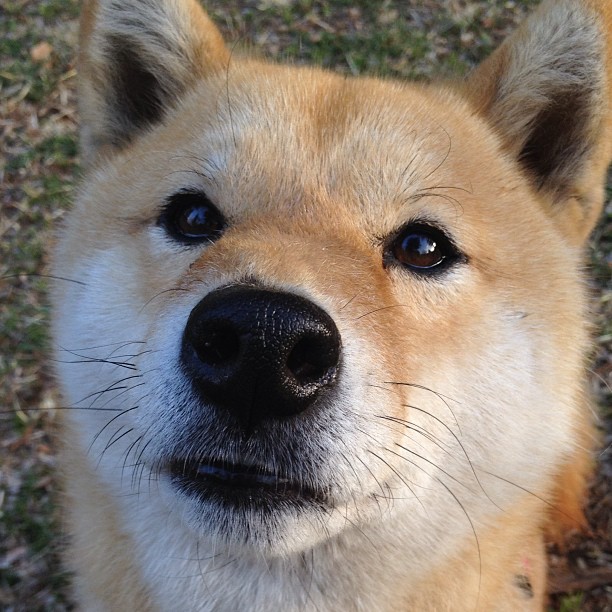 背身单打已过时？恩比德用复古技艺宣告现代中锋的真正价值