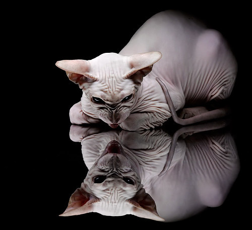 爱游戏tv-东方星火与安达卢西亚逆袭，久保建英与贝蒂斯的双线传奇