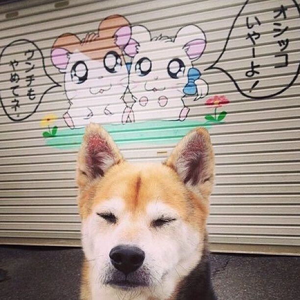 君临雷恩公园,克瓦拉茨赫利亚的唯一性艺术,为多特蒙德刻下胜利铭文