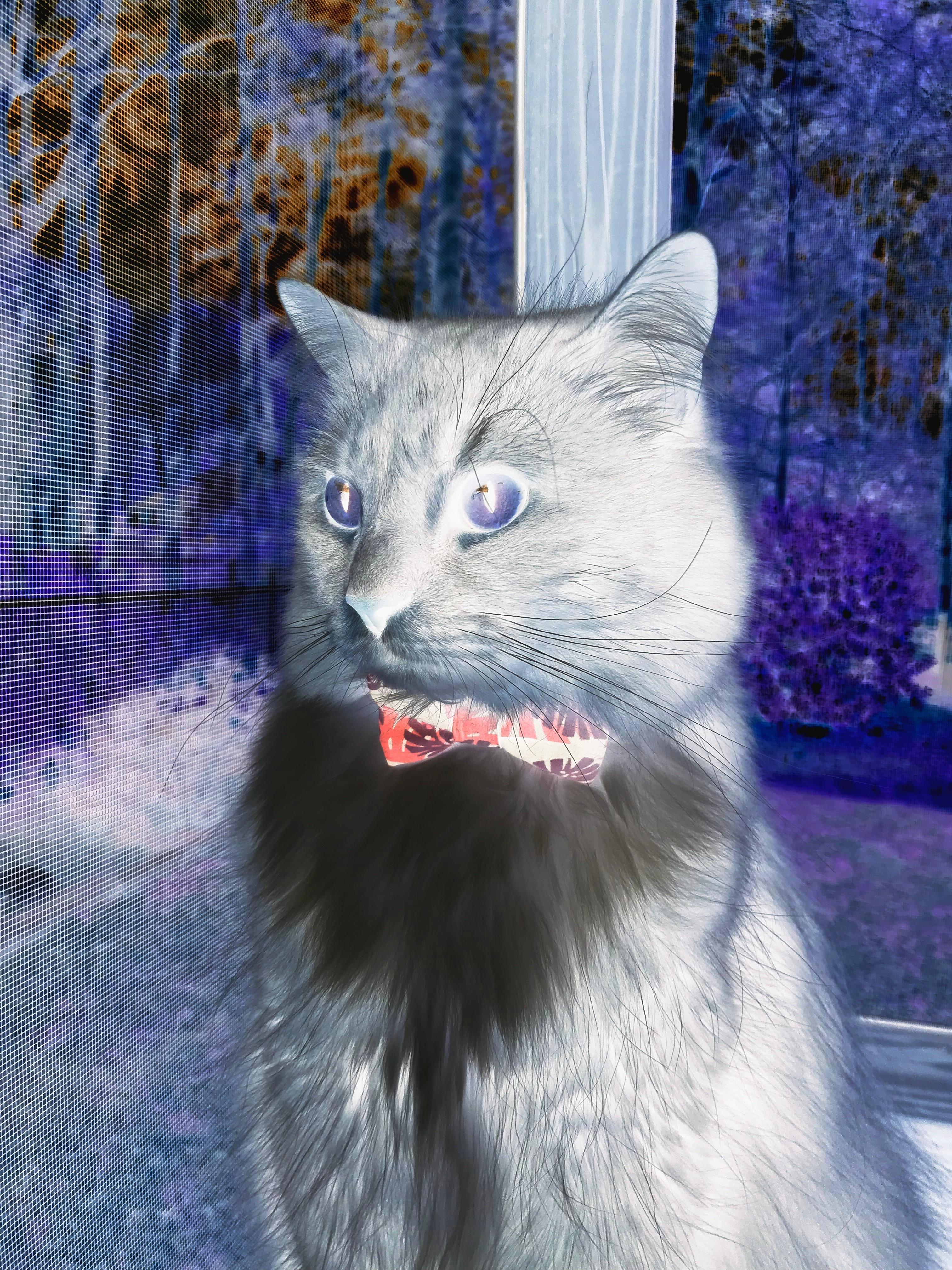 霍勒迪末节救主,一场硬仗背后的蜕变与掘金的战术密码