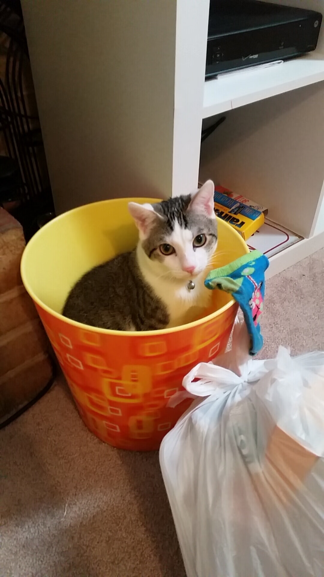 钢铁帷幕下的节奏艺术,门迪如何在一夜之间改写排名争夺战?