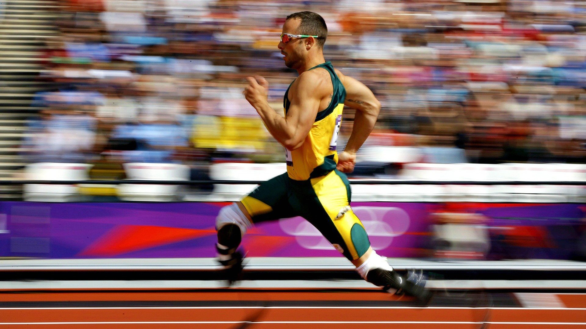 当足球与篮球在意志维度共振,统治者的唯一密码