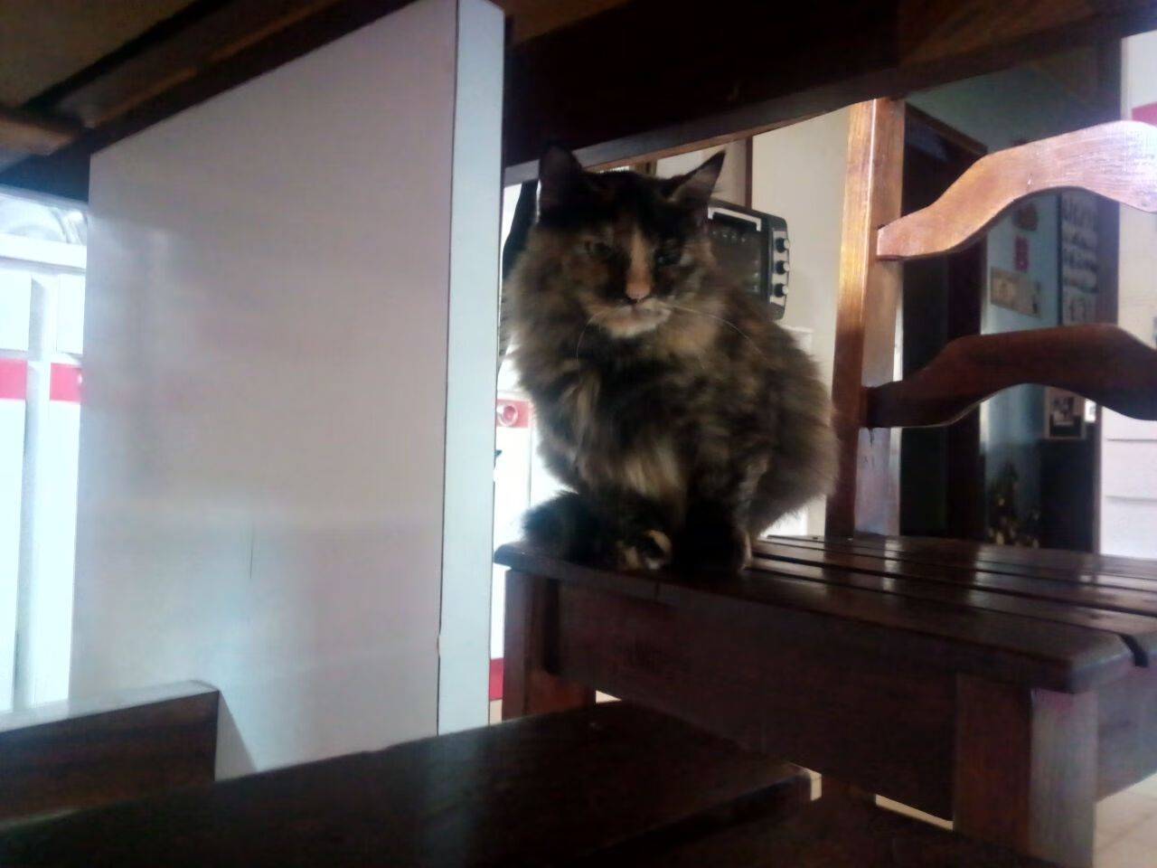 当非洲草原遇见北欧神话，伊布用一记死神天钩在开普敦夜空写下传奇