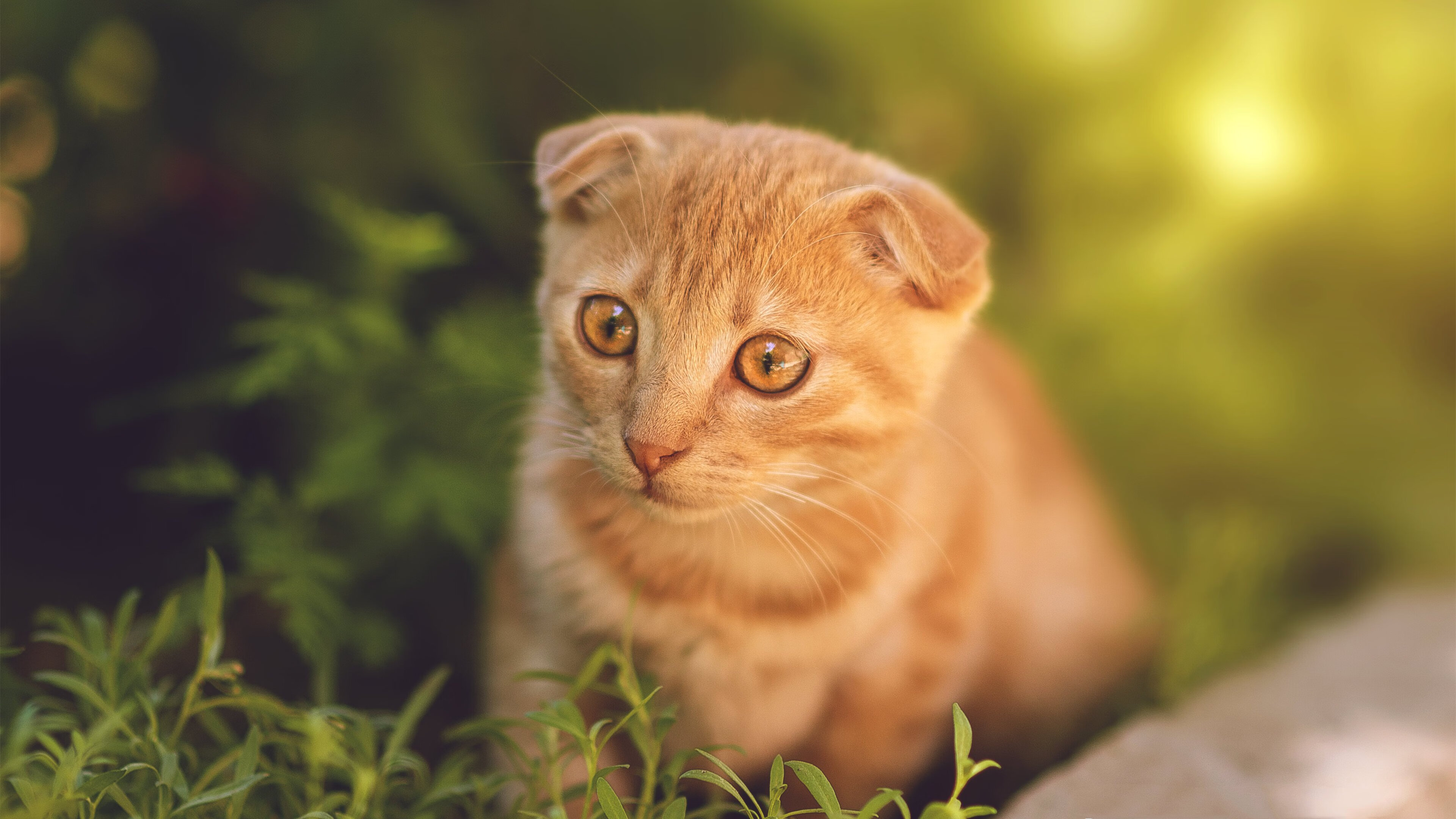 唯一节奏,曼城的巴西时间如何让莱比锡红牛静止