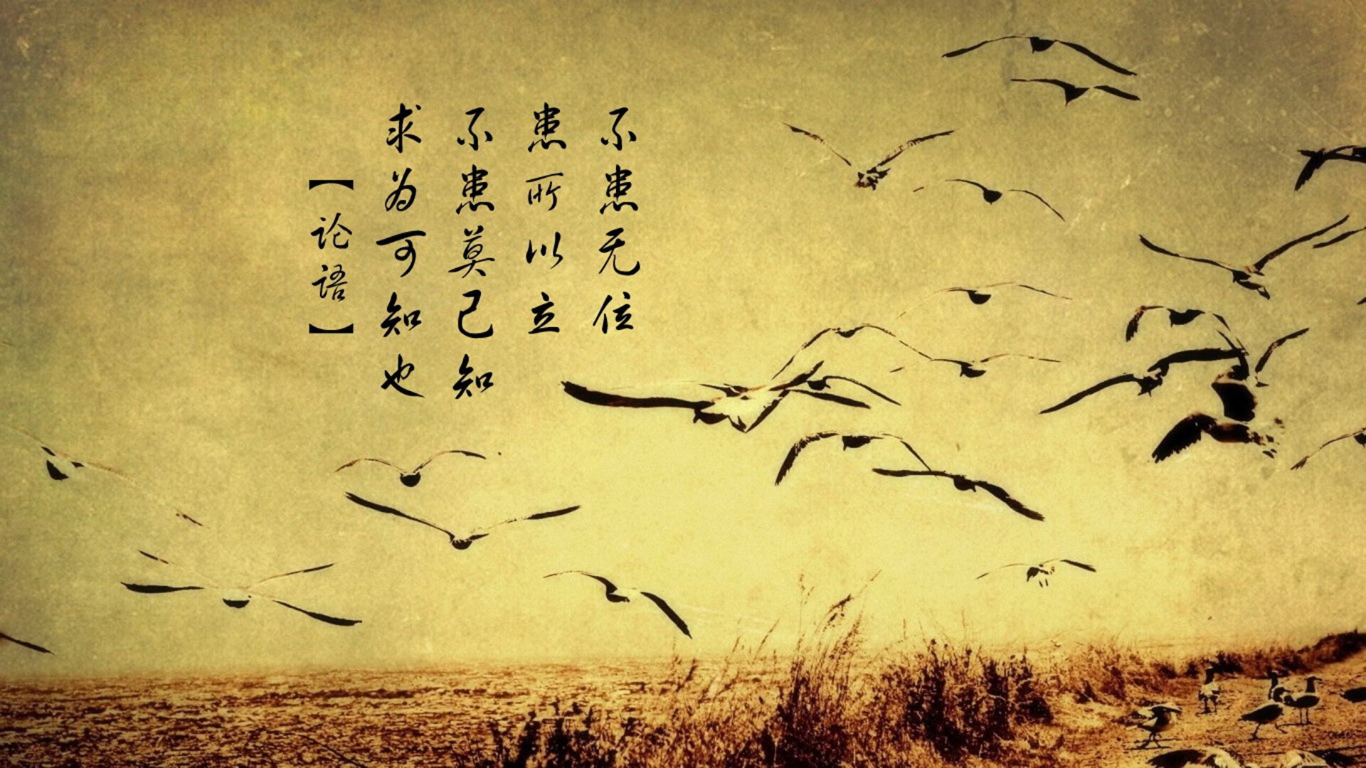 铁腰出鞘，一箭定江山，卡塞米罗天外飞仙击碎突尼斯铁壁，助亚特兰大登临欧陆之巅