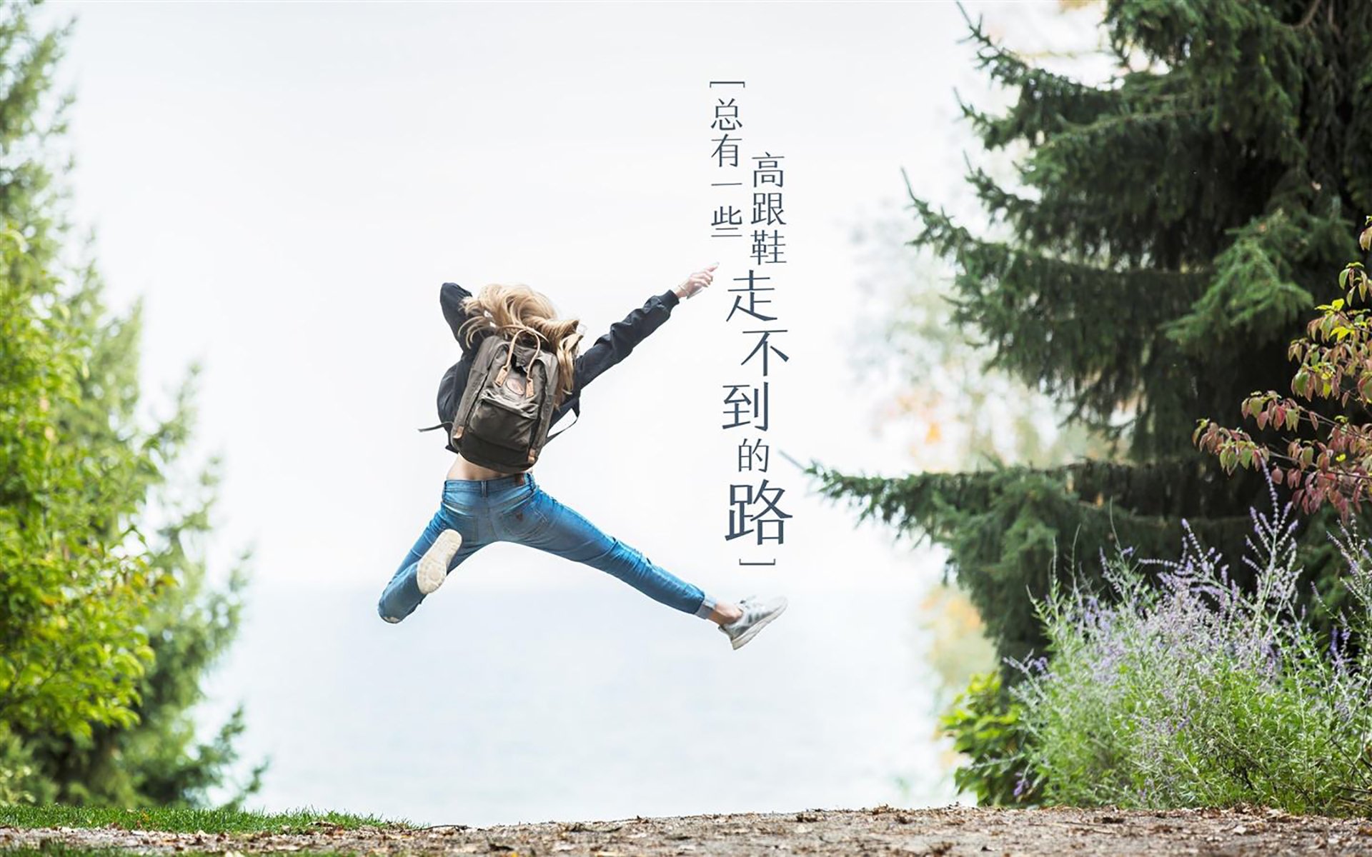 指挥官的密码，东契奇如何用节奏谱写独行侠的胜利交响