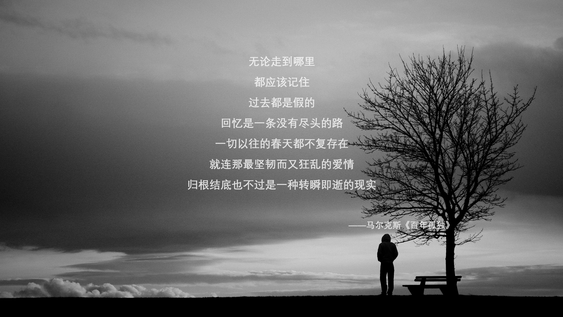四色旋涡，2026世界杯B组关键战，厄瓜多尔闪电撕裂喀麦隆，莫德里奇以攻守流转书写孤勇者终章