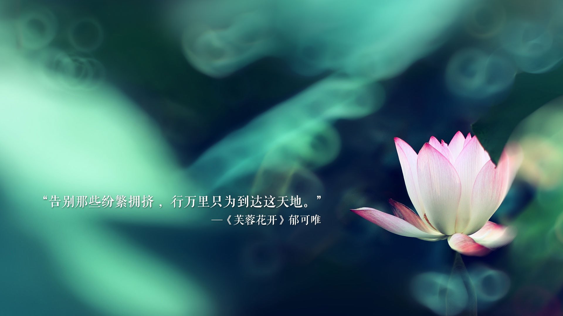 2026世界杯F组关键战，泰国绝杀比利时，罗德里戈带队书写唯一传奇