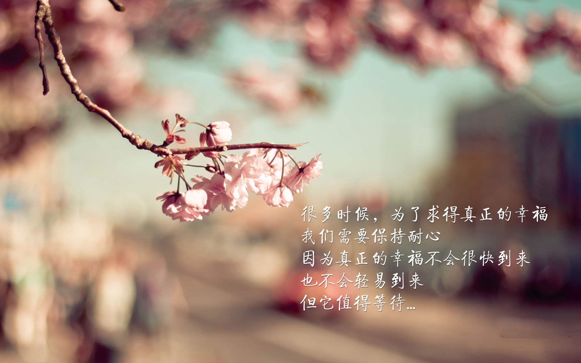 扩展（备选）