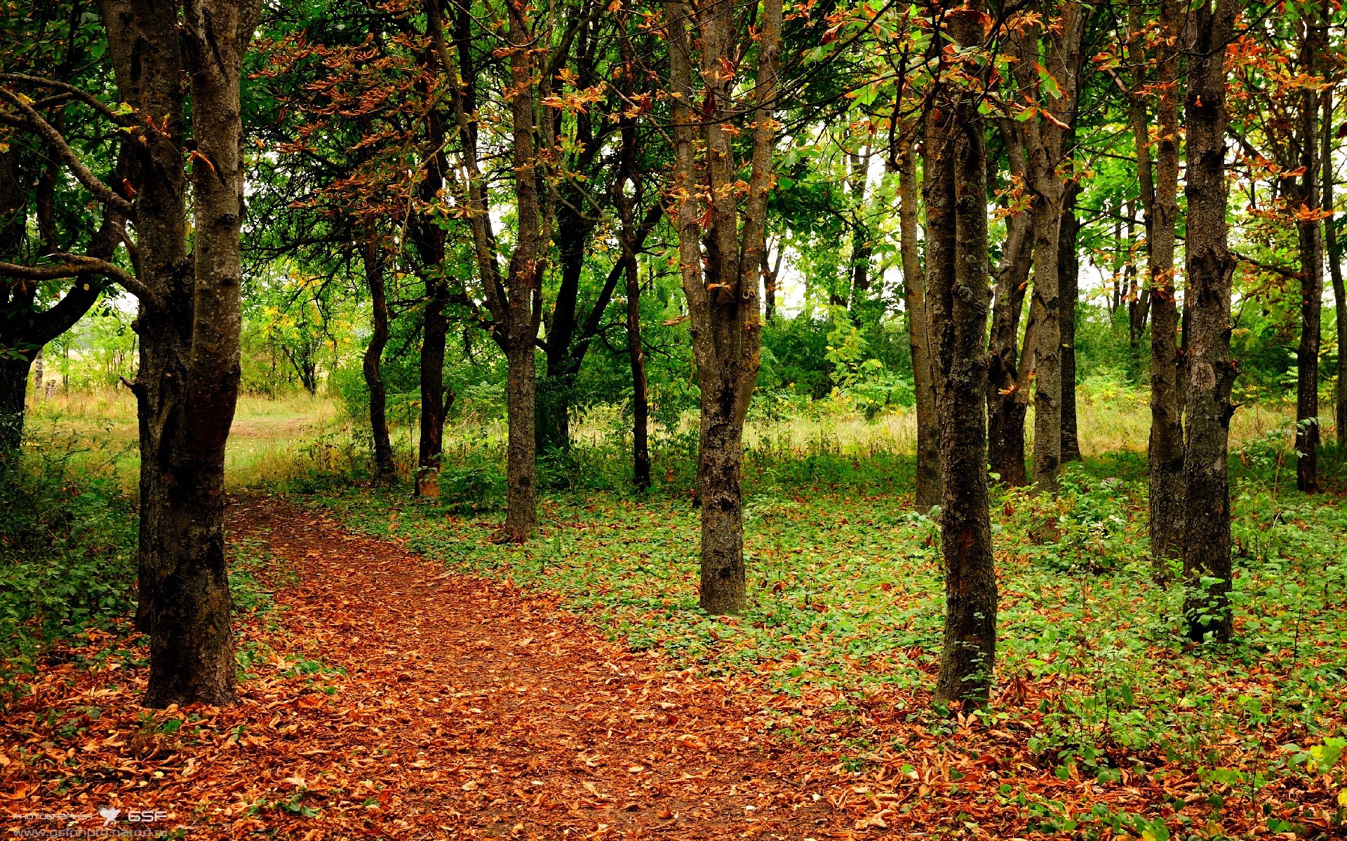 孤星闪耀萨格勒布，坎塞洛一己之力，罗马尼亚在血战中撕碎克罗地亚的晋级梦